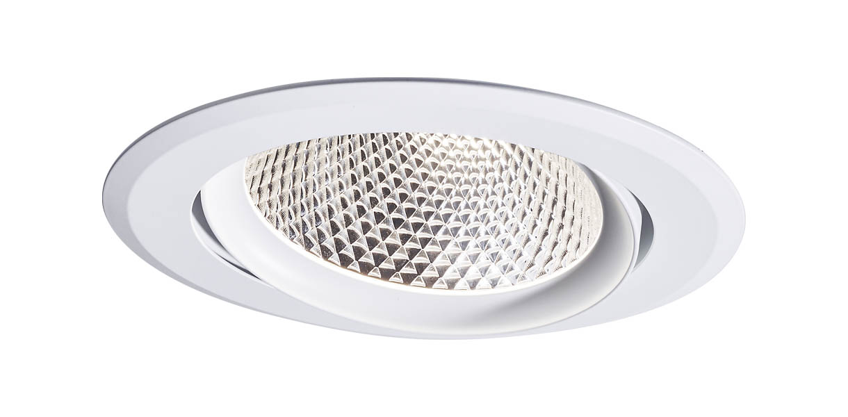 Tovo 0004 Downlight Commercial Tilt1