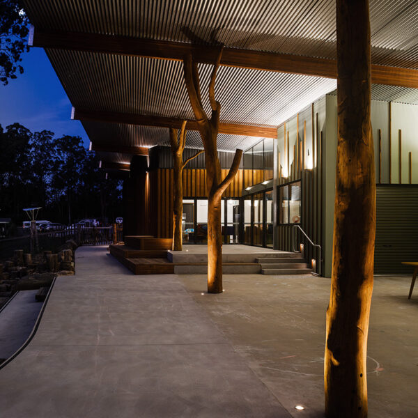 Taree First Steps Tovo Feature Image