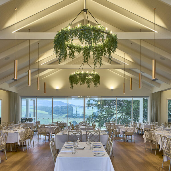 Tovo Crw Feature Photo